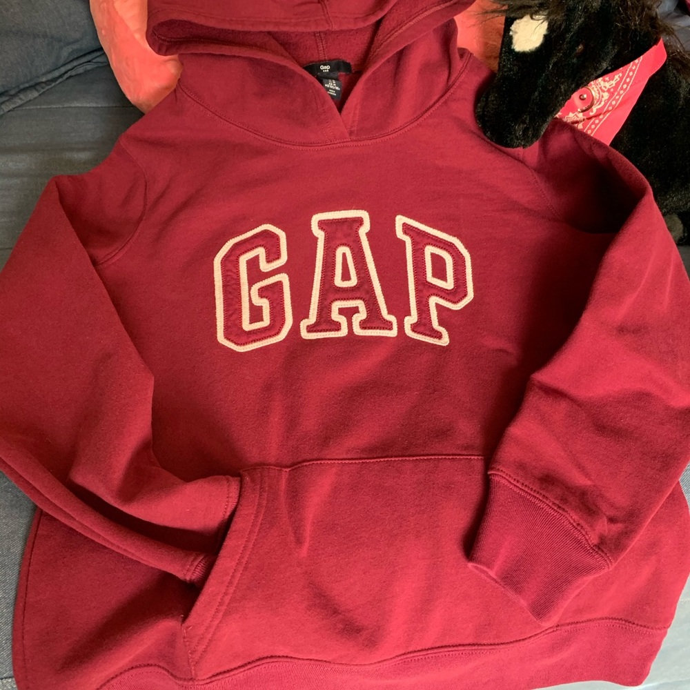 🌺🌺 Gap Hoodie - Picture 3 of 8
